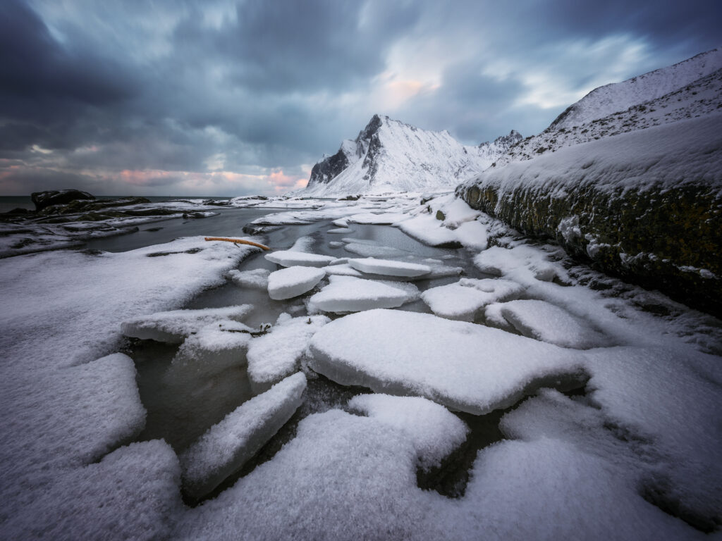 Michael Choong Photography