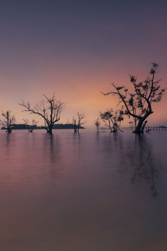 Michael Choong Photography