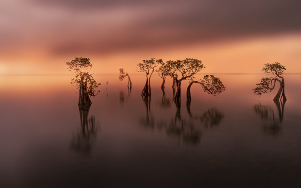 Michael Choong Photography