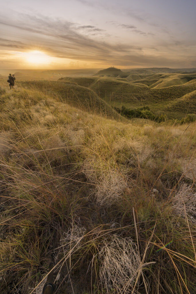 Michael Choong Photography