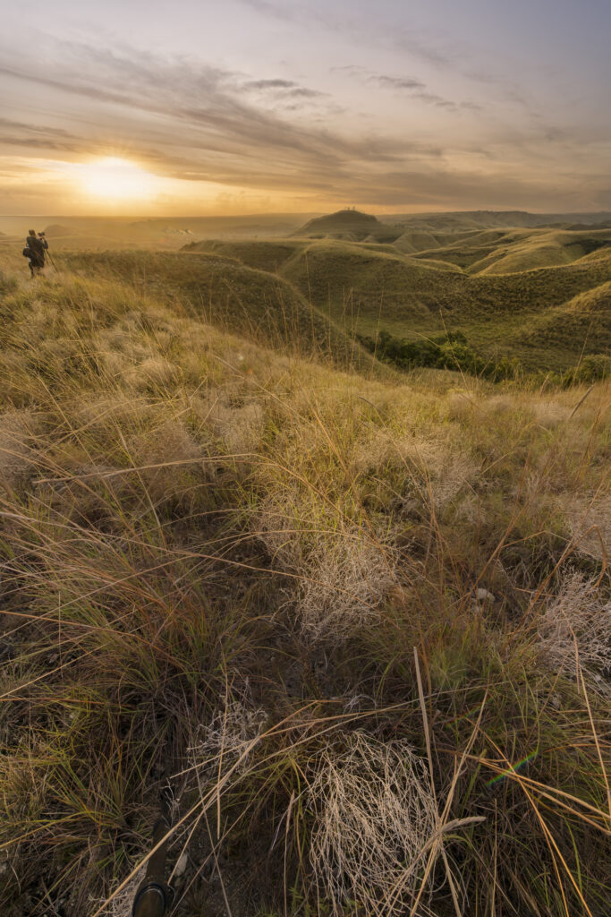 Michael Choong Photography